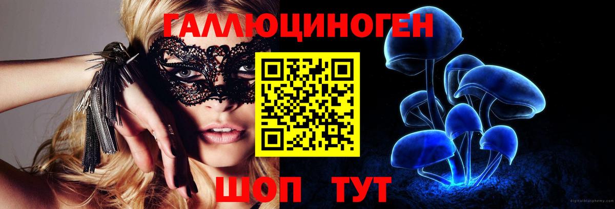 Коркино  Галлюциногенные грибы GOLDEN TEACHER  Вход с VPN  Псилоцибиновые грибы Magic Shrooms 